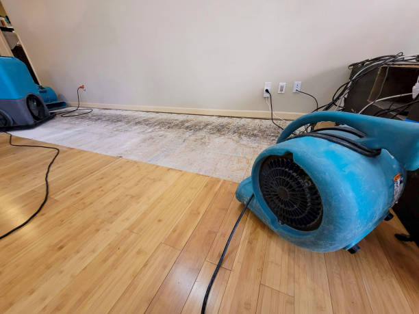 Professional Structural Drying technician working in Alledonia, OH